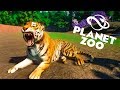 Making a Beautiful Tiger Habitat :: Planet Zoo