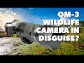 OM SYSTEM OM-3 - Wildlife Camera in Disguise? You be the Judge!