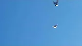 Николаевские голуби Вадима