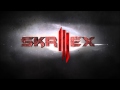 Skrillex - Scream and Shout  1080p (Download Link)