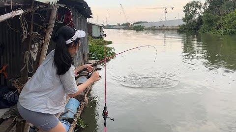 Câu Cá Thiên Nhiên Sông Đồng Nai | Câu Cá Chép Mùa Mưa | Mây Fishing