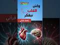 القلب يفكر ويتذكر اكتشاف علمي مذهل يؤكد ما ذكره القرآن إعجاز علمي القلب والدماغ اكسبلور