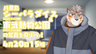 【雑談配信】八景島シーパラダイス＆東武動物公園の写真を見よう！2025/3/21&24撮影【Vtuber/凍凪コウガ】