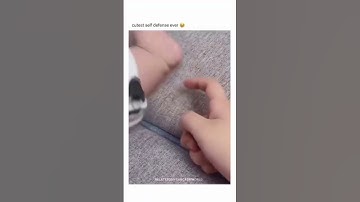 The Cutest Revenge #trending #trendingshorts #viral #tiktok #funny #funnyvideo #fypシ #foryou #fyp