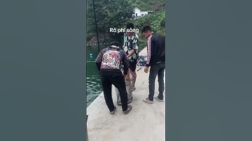 Câu cá rô phi sông Đà