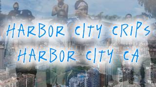 The History Of The Harbor City Crips Street Gang In Harbor City CA
