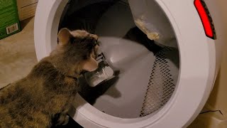 DEEP CLEANING THE LITTER ROBOT 4