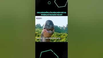 Con lươn khổng lồ bị dòng điện phát ra từ động cơ tàu ngầm thu hút