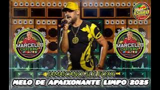 MELO DE APAIXONANTE SLY FOXX REGGAE LIMPO 2025 #reggaemaranhao #slyfox