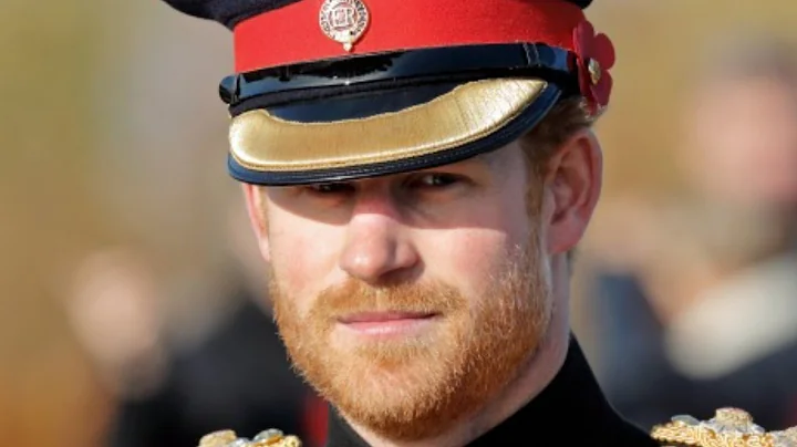 Prince Harry Granted This Privilege In Time For Qu...