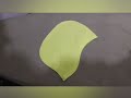 Creative Pocket- Curved Welt Pocket