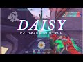 Daisy  valorant montage by cherrym