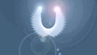 CEO Space Flying Logo Animation Video