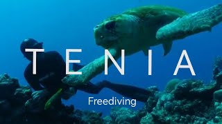 T E N I A freediving, Club APNEA NC