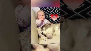 САМАЯ МИЛАЯ СОБАЧКА В СЕМЬЕ💖🥰