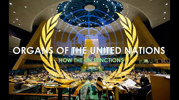 Organs of the United Nations | How the UN functions