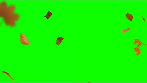 Falling Leaf - Green Screen || By Green Screen Tutorial