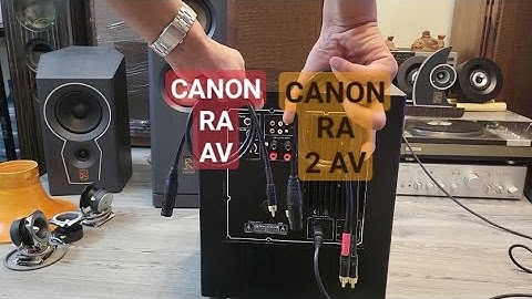 Chọn dây nào cho loa Sub Điện: Canon ra AV hay Canon ra 2 AV?