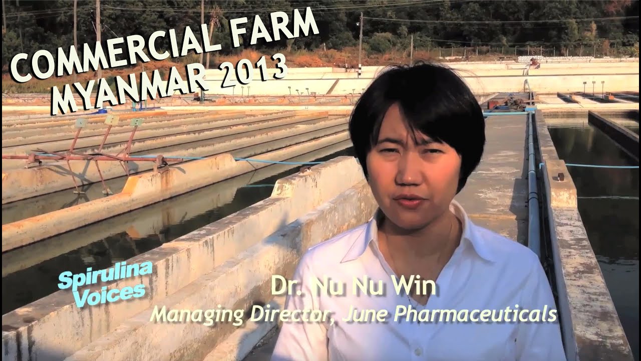 Spirulina Voices • Min Thein & Nu Nu Win • Myanmar Spirulina • 2013