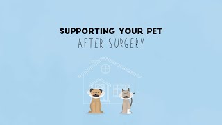 How To Help Your Pet Recover From Surgery by Gilbertsville Veterinary Hospital 7 views 3 years ago 3 minutes, 20 seconds