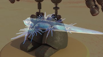 Noroff Portfolio semester 1