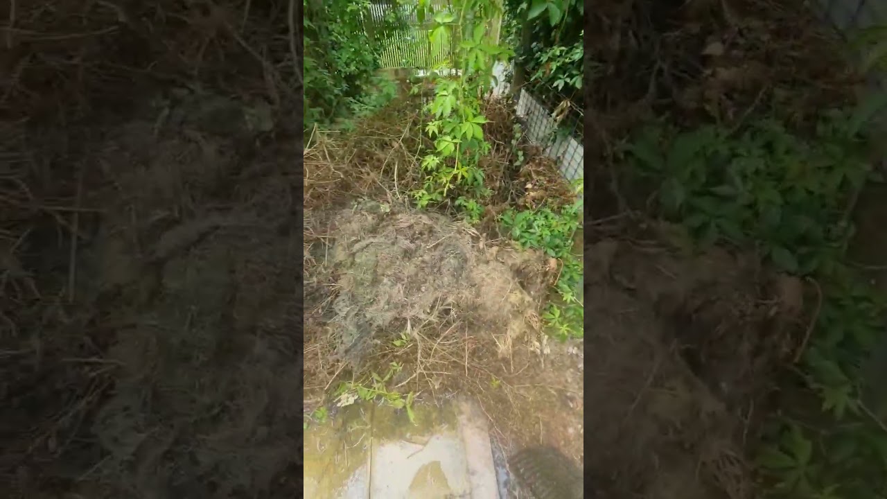 Garden cleanup timelapse - full video on my channel 