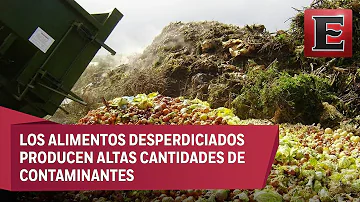 ¿Cómo afecta al ambiente el actual nivel de desperdicio de alimentos?