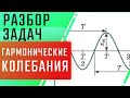 Гармонические колебания | Разбор задачи | ЕГЭ Физика | Николай Ньютон