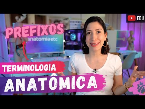 Vídeo: Qual é a outra palavra para anatômico?