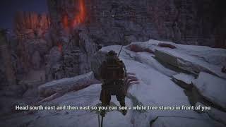 PATCHED AS OF 1.12 - NO LONGER WORKS ELDEN RING - How to Cheese Mogh, Lord of Blood (patch 1.10)