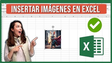 Como INSERTAR IMAGEN en Celda de Excel