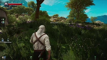 The Witcher 3 mods : Friendly HUD