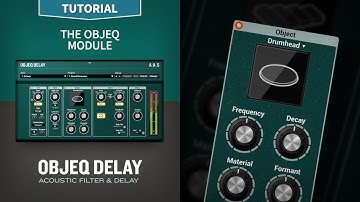 Objeq Delay Tutorials—The Object Module