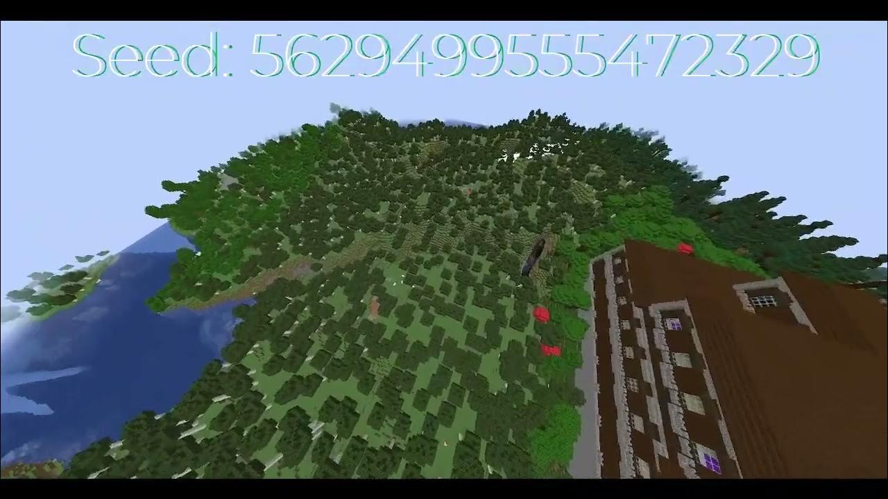 Spawn on top of a woodland mansion java 1 20 seed with lots of biomes