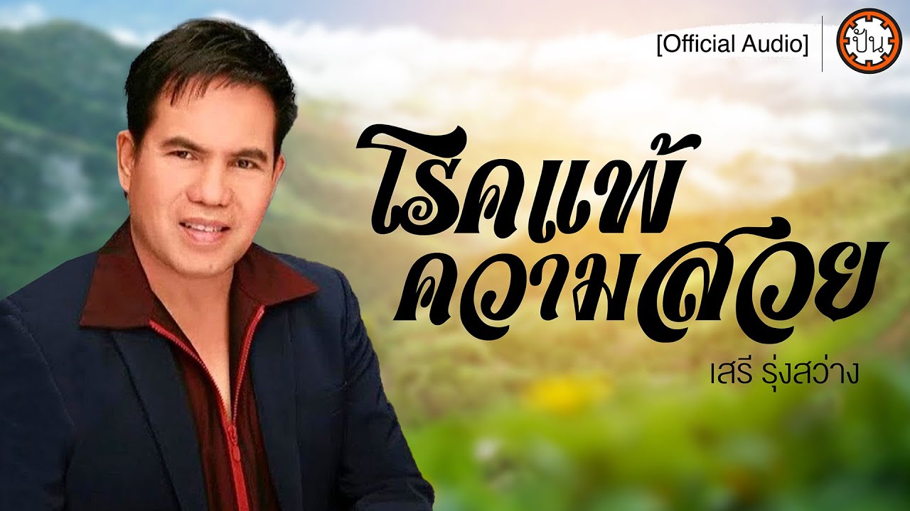 โรคแพ้ความสวย | เสรี รุ่งสว่าง [Official Audio] | ปัน