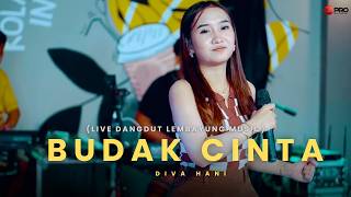 BUDAK CINTA - DIVA HANI (LIVE MUSIC DANGDUT LEMBAYUNG)