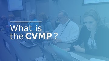 What is the CVMP? - Video explainer