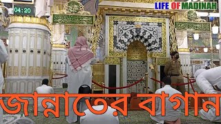 Riazul Zannah-জান্নাতের বাগান.LIFE OF MADINAH.Riaz ul Jannah.Complete Ziyarat.Riyazul jannah-NABOWI