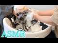 モコモコ泡スローシャンプーマッサージ【プロの眠たくなる技】Slow Shampoo Massage ASMR