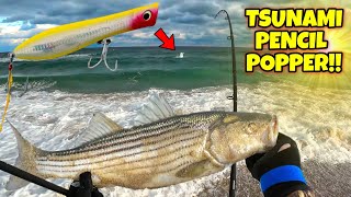 BEST TOPWATER DAY DECEMBER NJ Striped Bass Fall Run Surf Fishing by Mental Health Day 2,634 views 4 months ago 17 minutes