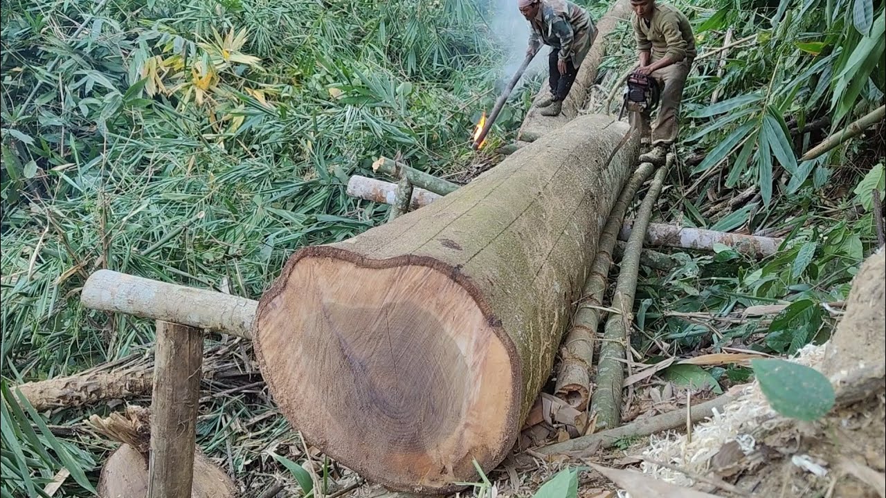 Skills in sawing a big log to make blocks With Stihl ms382 - YouTube