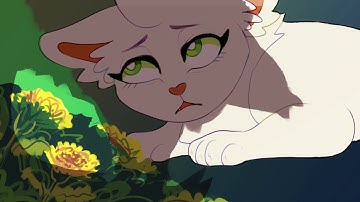 TO BE A WANDERER (1 Week Moth Flight Warriors MAP) Part 1