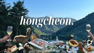 vlog. 제대로 힐링하고 온 1박 2일 홍천 여행 🌿 | 카페, 알파카월드, 송어회 맛집 | 에어비앤비 인생 숙소에서 바베큐, 스모어, 별 구경 ⭐️