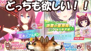 【#ウマ娘】やばい豪運！！！！SSRめっちゃ出るやん！？バレンタインガチャ＆バレンタインイベストーリー見る
