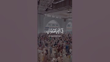 وأذن في الناس بالحج يأتوك رجالا || بصوت القارئ عبدالرحمن مسعد || #قرآن_كريم #ذكر #holy_quran512