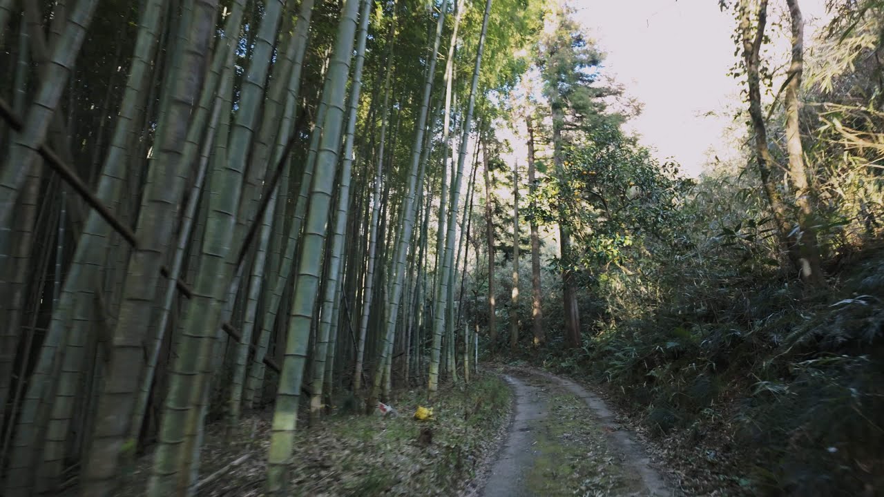 【松山市】石手～下伊台 戦後20年で大きな変化を遂げた場所/国道317号･県道40号 松山東部環状線 旧道[倍速](2024.2.12)