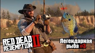 Red Dead Redemption 2: Легендарная рыба Синежаберник