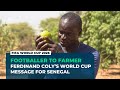 Ferdinand Coly: From football to farming, a World Cup lesson for Senegal