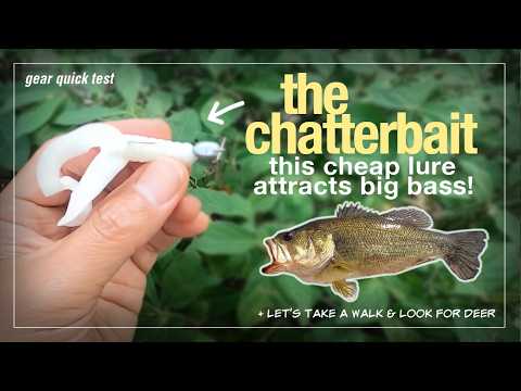 This Small Lure Attracts Big Bass (Chatterbait Mini)