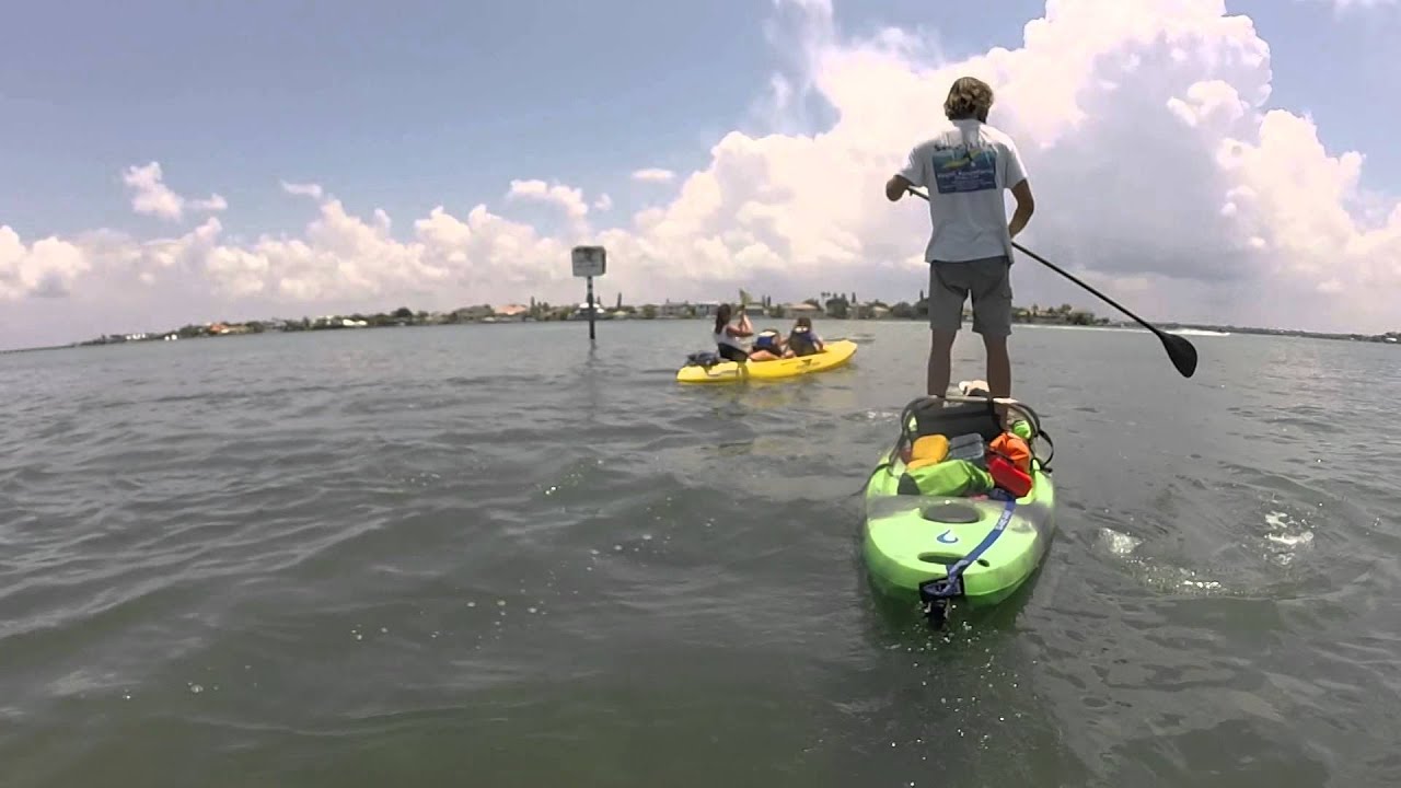 Gayle Guyardo Kayak through the Sarasota Mangroves